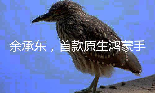 余承東，首款原生鴻蒙手機(jī)下周見