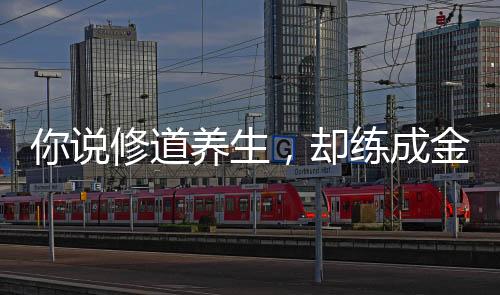 你說修道養(yǎng)生，卻練成金丹法？