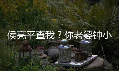 侯亮平查我？你老婆鐘小艾力挺我