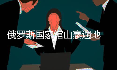 俄羅斯國家館山寨遍地 俄方澄清