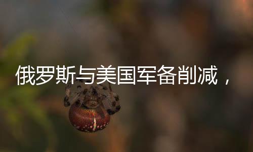 俄羅斯與美國軍備削減，中國的選擇與挑戰(zhàn)