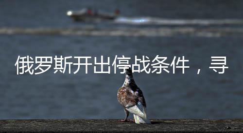 俄羅斯開出停戰(zhàn)條件，尋求和平解套的全新起點(diǎn)