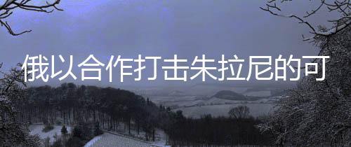 俄以合作打擊朱拉尼的可能性分析