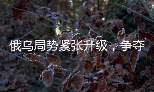俄烏局勢(shì)緊張升級(jí)，爭(zhēng)奪最后戰(zhàn)果引發(fā)北約緊張情緒