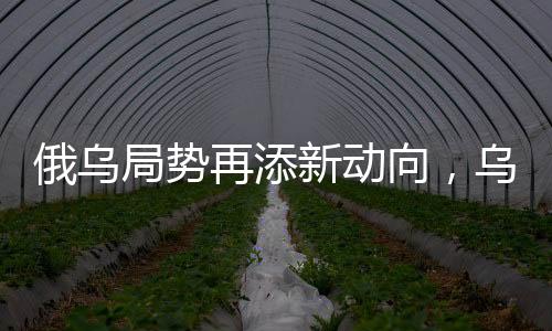俄烏局勢再添新動向，烏總統(tǒng)與英法領(lǐng)導人通話