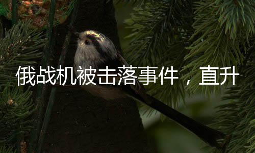 俄戰(zhàn)機被擊落事件，直升機絕地救援飛行員