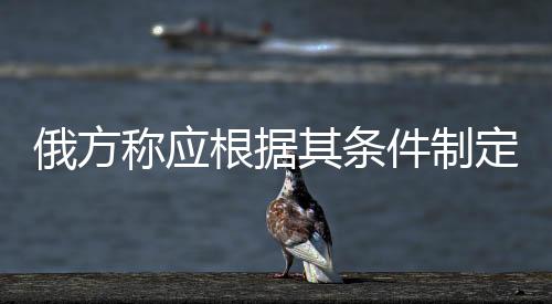 俄方稱應(yīng)根據(jù)其條件制定涉烏協(xié)議，國際各方的視角與影響分析