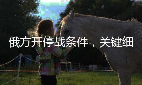 俄方開(kāi)停戰(zhàn)條件，關(guān)鍵細(xì)節(jié)與未來(lái)展望