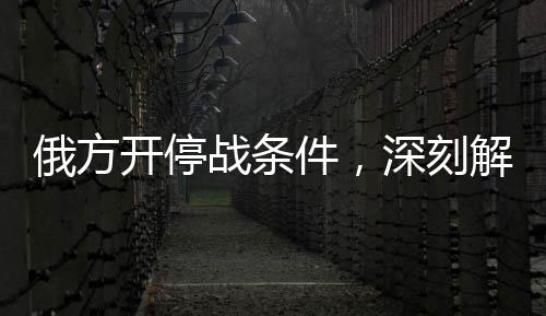 俄方開停戰(zhàn)條件，深刻解讀與未來展望