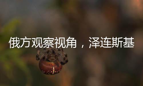 俄方觀察視角，澤連斯基辦公室如同精神病房的深度解讀