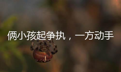 倆小孩起爭執(zhí)，一方動手引發(fā)社會關(guān)注