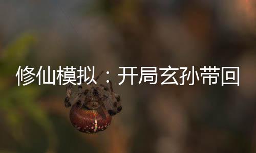 修仙模擬：開局玄孫帶回修仙功法