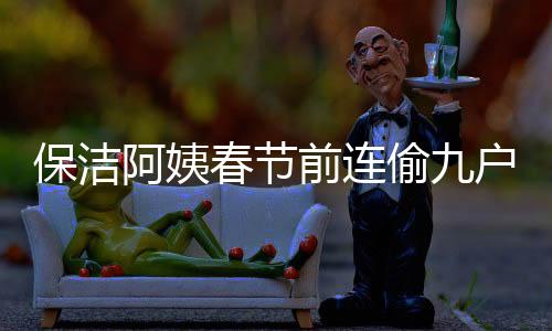 保潔阿姨春節(jié)前連偷九戶，引發(fā)社會(huì)關(guān)注的盜竊事件