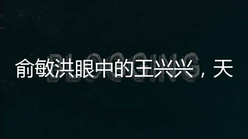 俞敏洪眼中的王興興，天才企業(yè)家的崛起