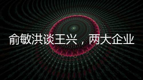 俞敏洪談王興，兩大企業(yè)家巨頭共繪未來(lái)藍(lán)圖