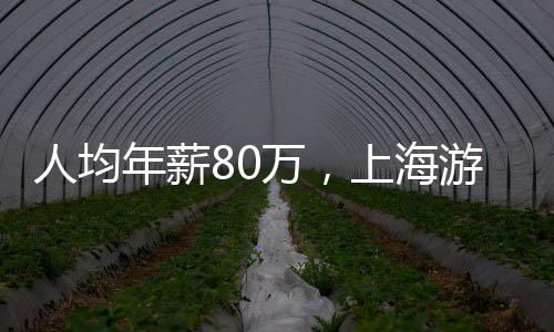 人均年薪80萬(wàn)，上海游戲老板翻盤(pán)記