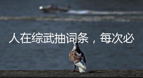 人在綜武抽詞條，每次必中概念級(jí)