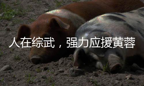 人在綜武，強力應(yīng)援黃蓉小龍女