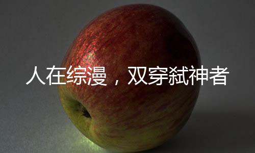 人在綜漫，雙穿弒神者