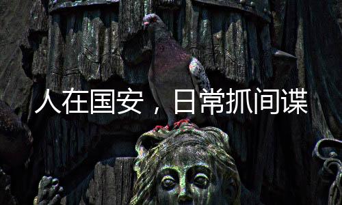人在國安，日常抓間諜