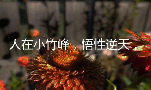 人在小竹峰，悟性逆天，以儒證道