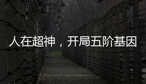人在超神，開(kāi)局五階基因鎖被曝光