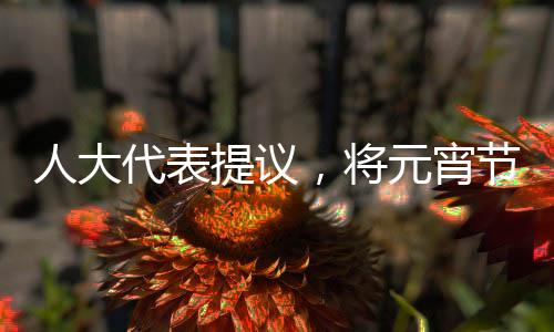 人大代表提議，將元宵節(jié)設(shè)為法定節(jié)假日