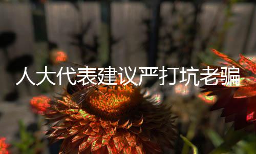 人大代表建議嚴打坑老騙局，守護老年人合法權(quán)益
