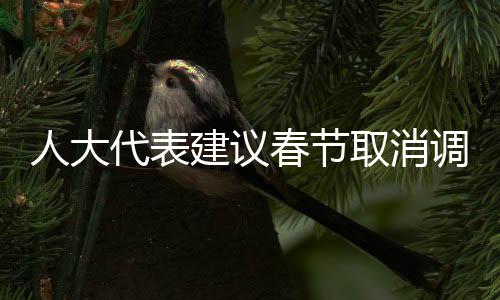 人大代表建議春節(jié)取消調(diào)休，民眾的期待與時代的思考