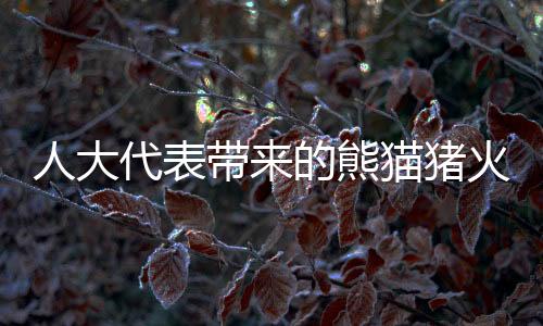 人大代表帶來的熊貓豬火了
