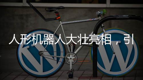 人形機(jī)器人大壯亮相，引領(lǐng)未來科技新潮流