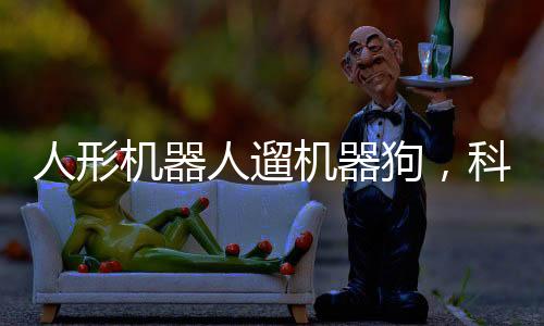 人形機器人遛機器狗，科技前沿的新篇章