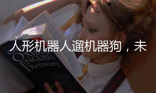 人形機器人遛機器狗，未來科技的新里程碑