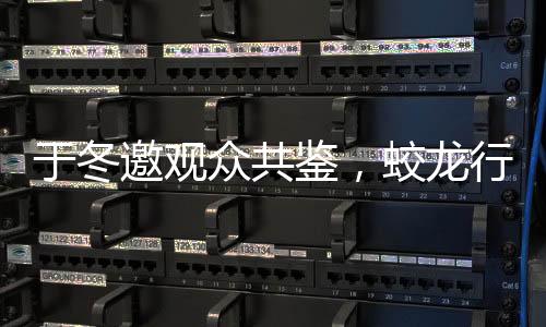 于冬邀觀眾共鑒，蛟龍行動(dòng)是否值得黃金場(chǎng)期待？一文深度解析