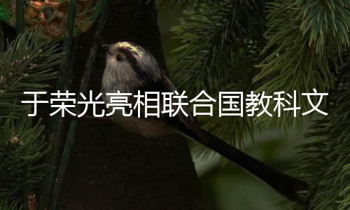 于榮光亮相聯(lián)合國(guó)教科文舞臺(tái)，跨界合作引領(lǐng)文化創(chuàng)新之旅