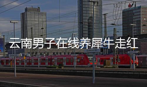 云南男子在線養(yǎng)犀牛走紅網(wǎng)絡(luò)時代的新型守護(hù)者引領(lǐng)潮流