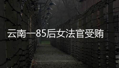 云南一85后女法官受賄被開除公職