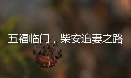 五福臨門，柴安追妻之路，用盡所有力氣