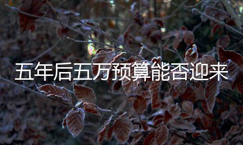 五年后五萬預算能否迎來智能家務機器人？市場與技術趨勢解讀