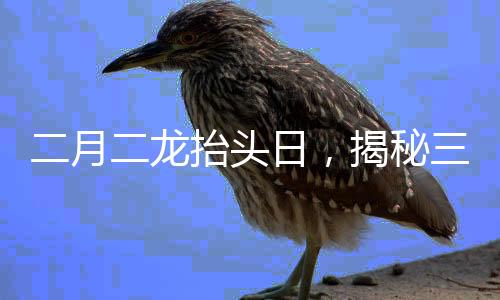 二月二龍?zhí)ь^日，揭秘三大傳統(tǒng)風(fēng)俗