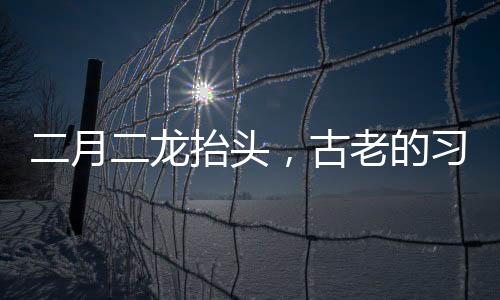 二月二龍?zhí)ь^，古老的習(xí)俗與文化的傳承