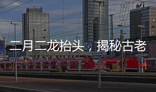 二月二龍?zhí)ь^，揭秘古老天文現(xiàn)象背后的神秘面紗