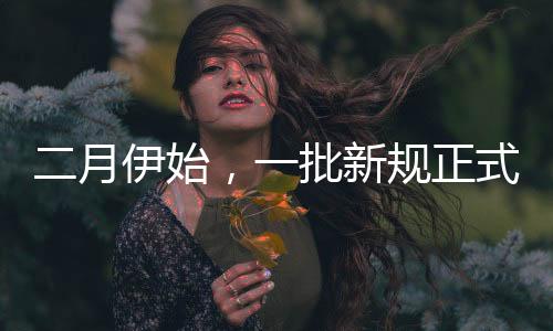二月伊始，一批新規(guī)正式實(shí)施，引領(lǐng)社會步入新篇章