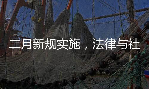 二月新規(guī)實施，法律與社會共舞的新篇章