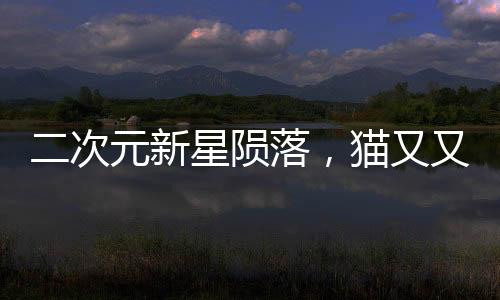 二次元新星隕落，貓又又的離去與永恒的記憶