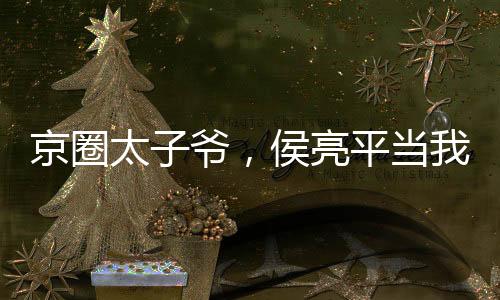京圈太子爺，侯亮平當(dāng)我軟柿子？