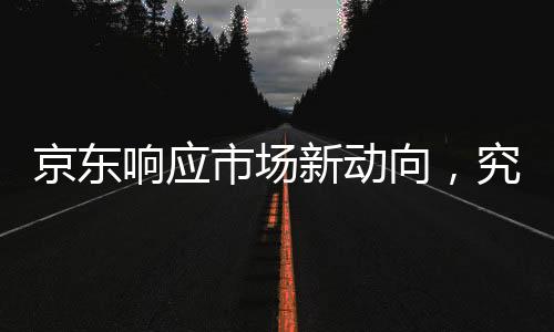 京東響應(yīng)市場新動向，究竟是否推出打車服務(wù)？全面解讀其未來發(fā)展藍(lán)圖