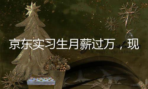 京東實(shí)習(xí)生月薪過萬，現(xiàn)象背后的深度解析