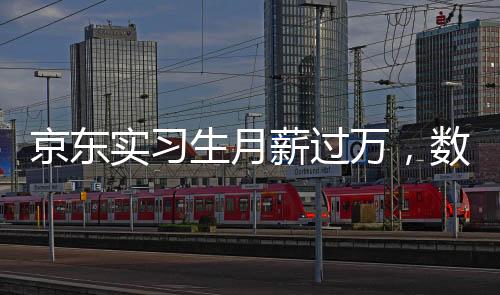 京東實(shí)習(xí)生月薪過(guò)萬(wàn)，數(shù)字背后的故事與啟示