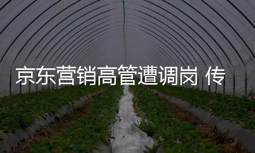 京東營(yíng)銷(xiāo)高管遭調(diào)崗 傳與楊笠代言爭(zhēng)議風(fēng)波有關(guān)